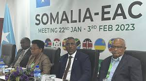 HOW THE SOMALI COMMUNITY IS SHAPING THE ECONOMIC LANDSCAPE OF THE HORN OF AFRICA: A Philosophical Reflection on Trade, Identity, Constitutional Rights, and International Law