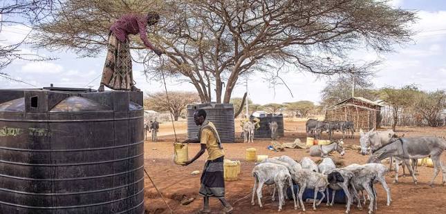 The Fight for the Tallest Economic Dwarf in the Horn of Africa
